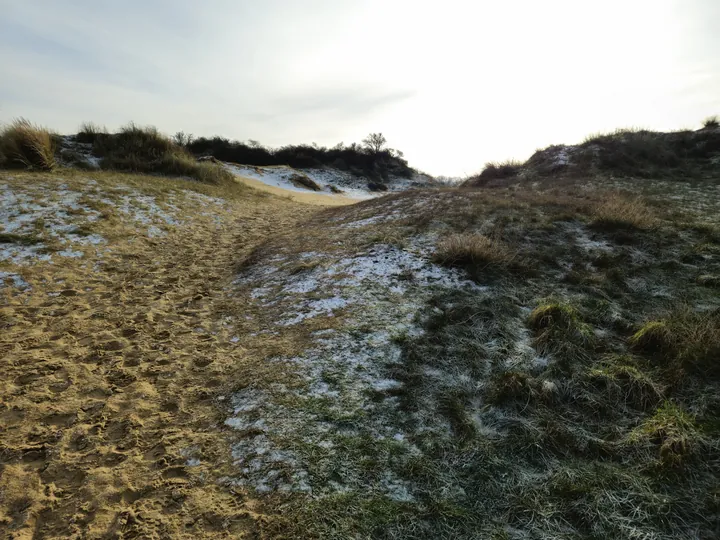 Oostnieuwkerke duinen wandeling in de koude (België)